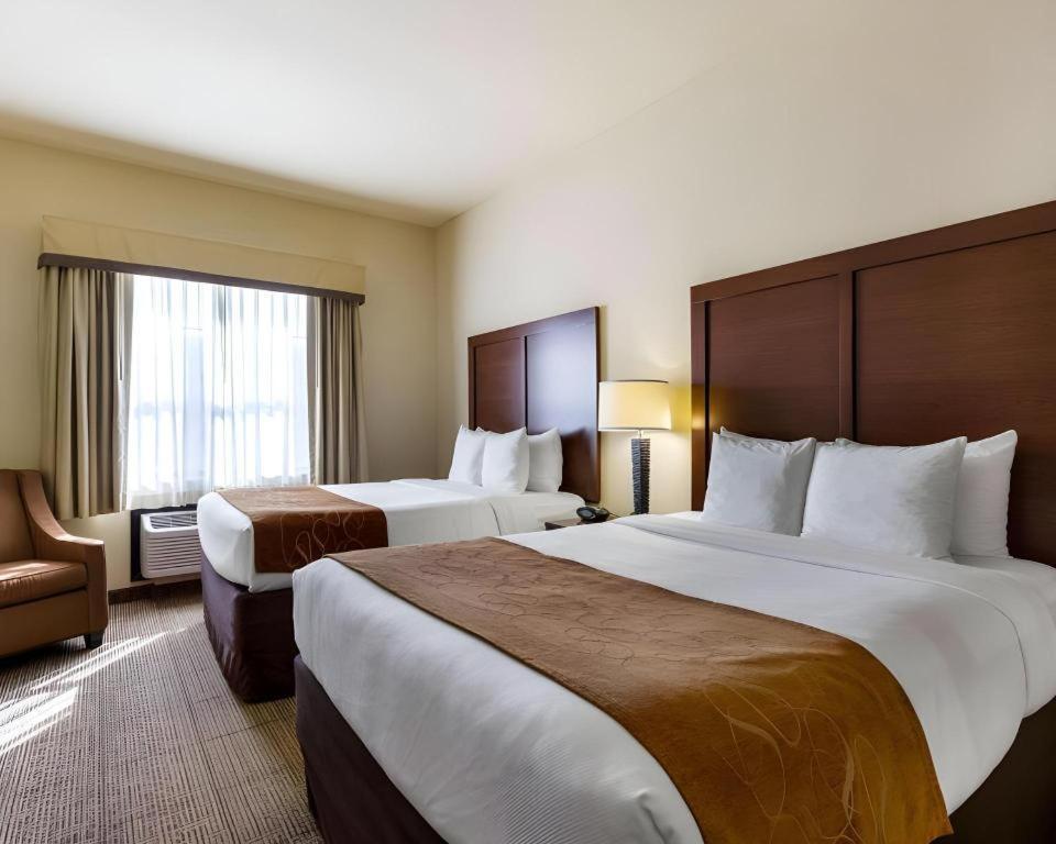 Comfort Suites Near Nasa - Clear Lake Уэбстер Экстерьер фото