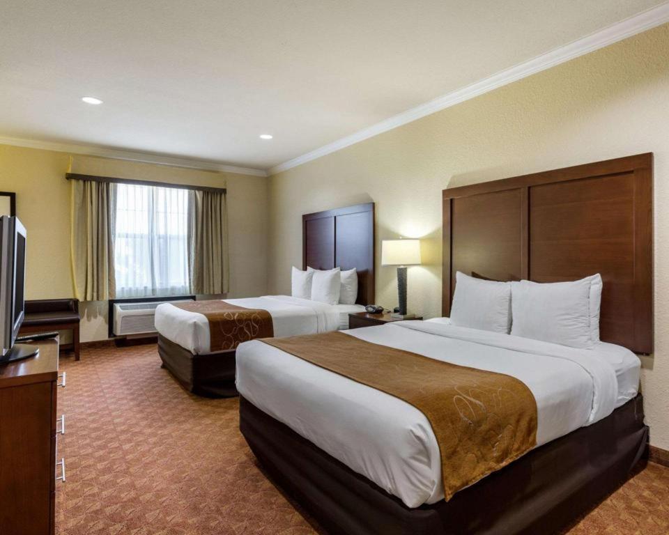 Comfort Suites Near Nasa - Clear Lake Уэбстер Экстерьер фото