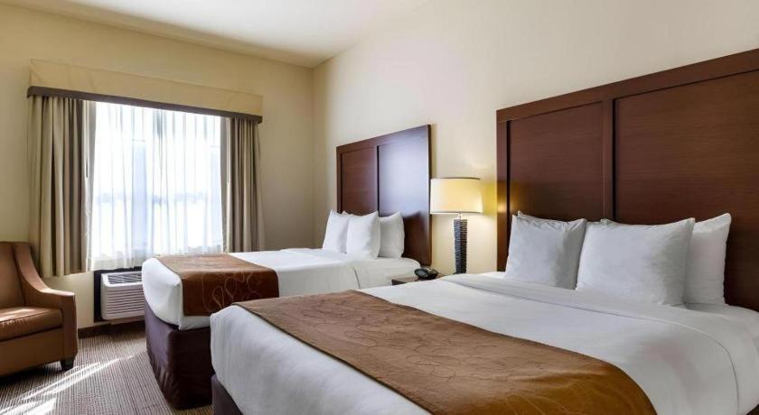 Comfort Suites Near Nasa - Clear Lake Уэбстер Экстерьер фото