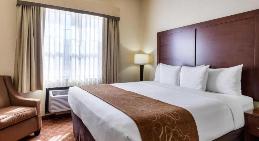 Comfort Suites Near Nasa - Clear Lake Уэбстер Экстерьер фото