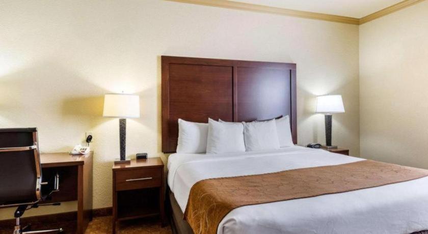 Comfort Suites Near Nasa - Clear Lake Уэбстер Экстерьер фото