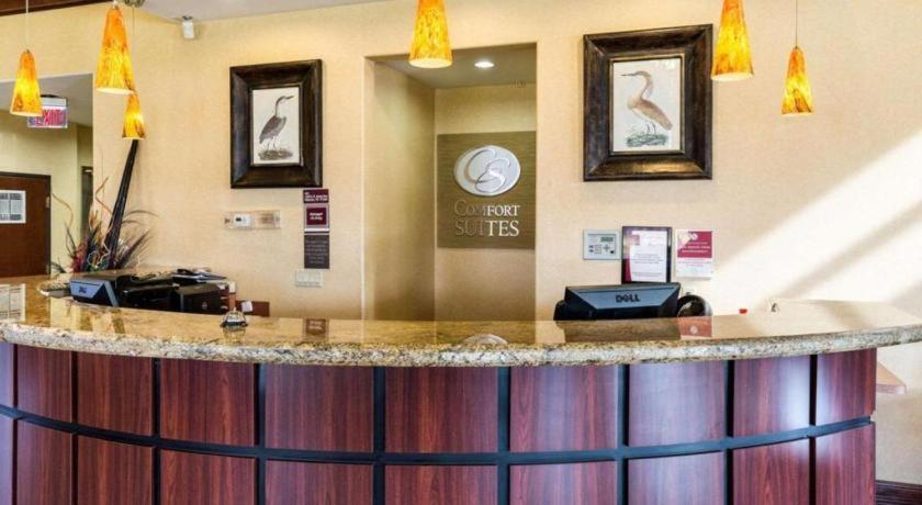 Comfort Suites Near Nasa - Clear Lake Уэбстер Экстерьер фото